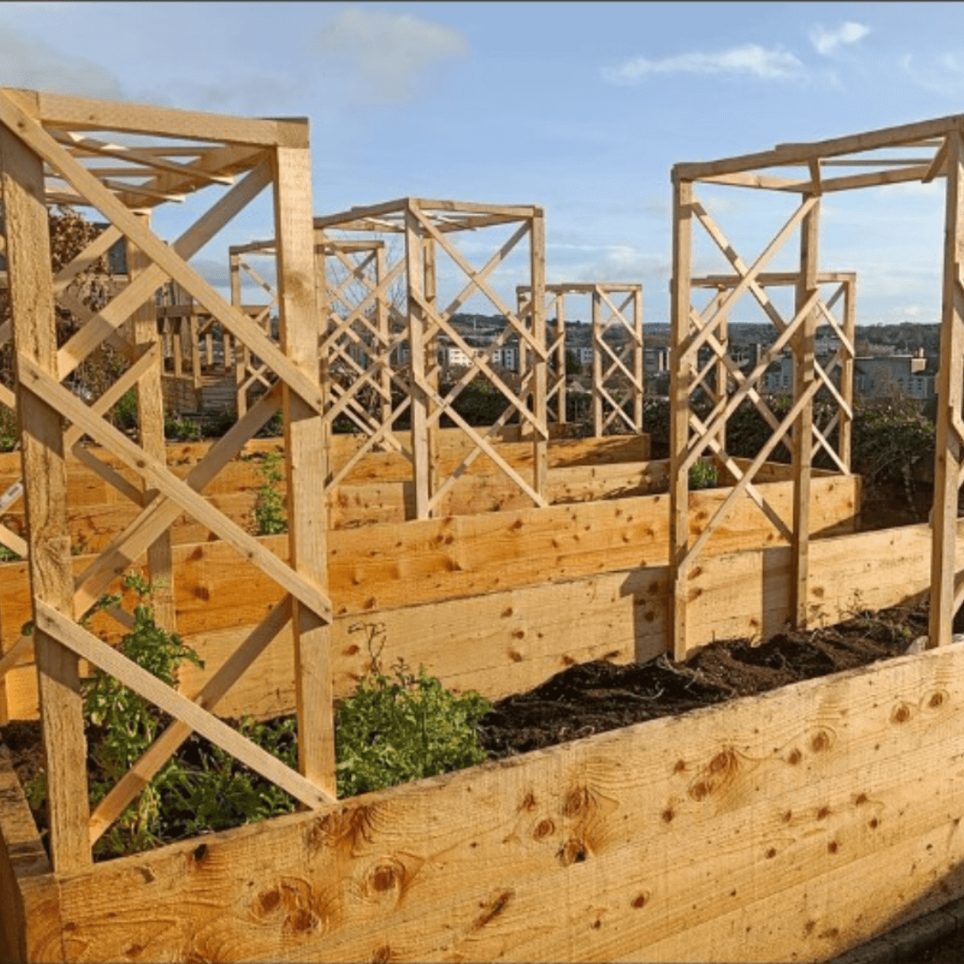 Raised wooden garden beds at Top of the City Garden